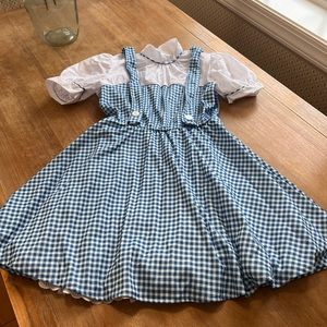 Teen or woman’s Dorothy costume size smallish